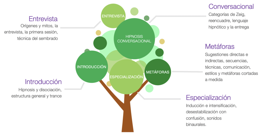 Formación en hipnosis ericksoniana